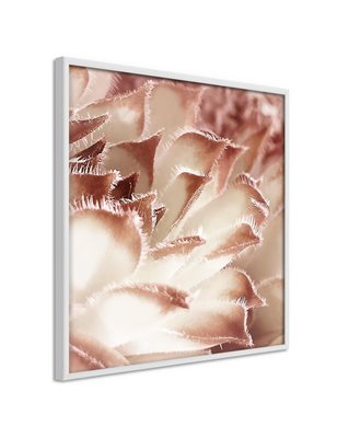 Poster  Floral Calyx